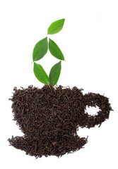 Cup made from tea leaf isolated on white