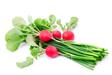 bunch of fresh radish with green onion (Chive)