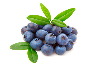 Blueberries with green leaves