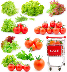 set of Assortment of red cherry tomatoes and lettuce leaves