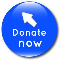 Donate now web button