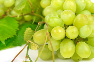 Bunch of grapes on white background