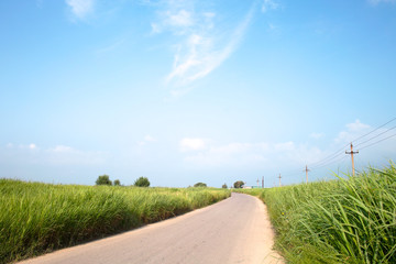 Road on field