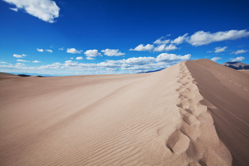 Obraz na płótnie Canvas Dune
