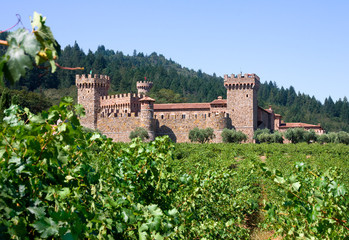 Fototapeta na wymiar Napa Valley winnic i zamek