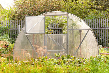 Greenhouse