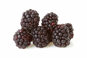 Macro of pile blackberries over white background