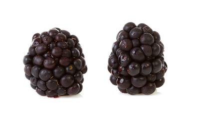 Macro of two blackberries over white background