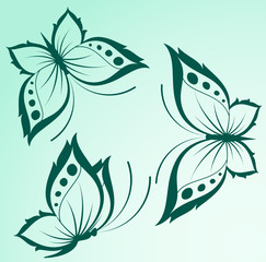 Vector beautiful butterfly