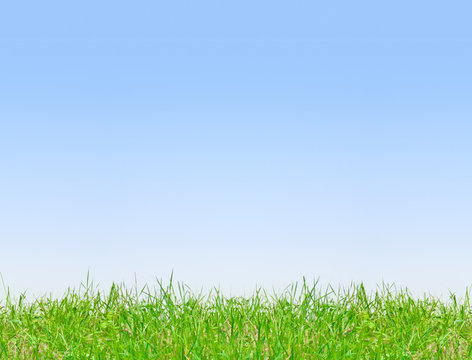 Clean blue sky background with green grass