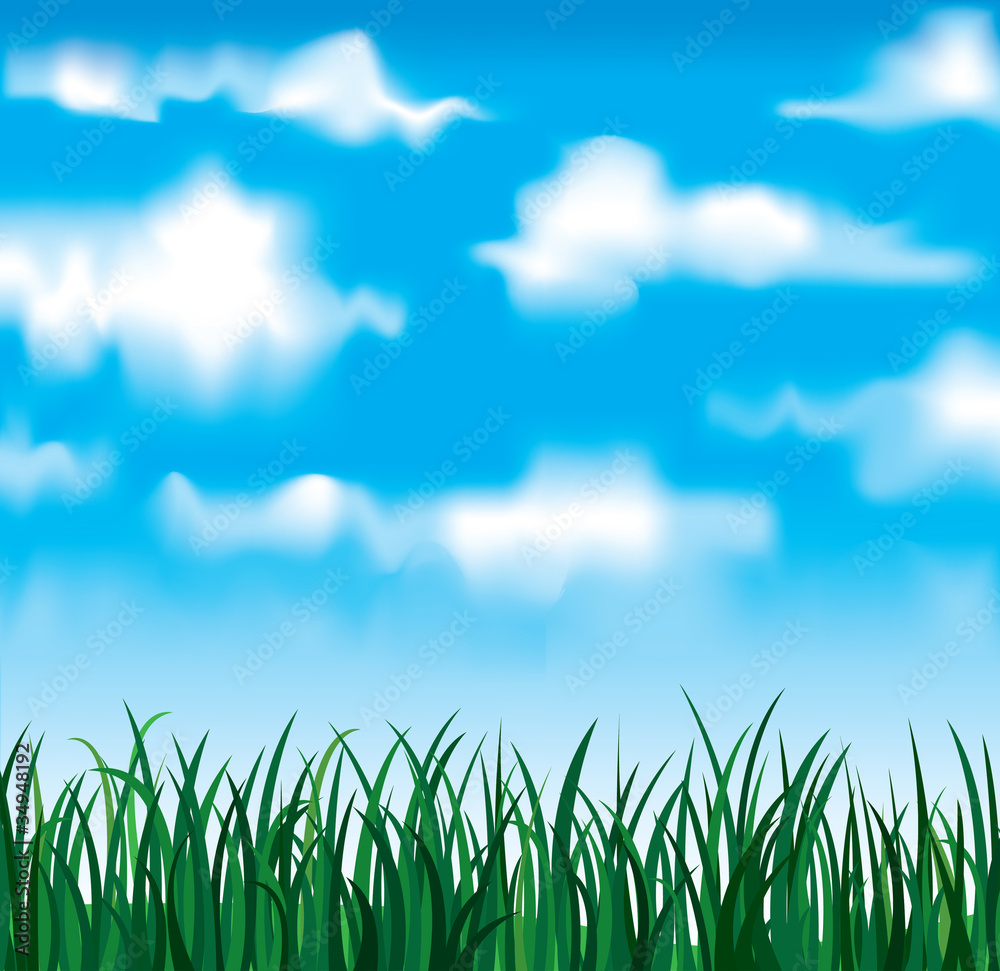 Canvas Prints Grass