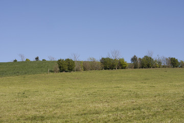 grass field on front and blue sky behind