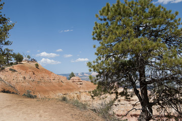 Hoodoos in Bryce Canyon National Park, Utah, USA