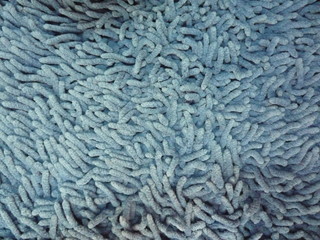 blue carpet with worm texture