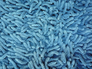 blue worms