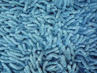 blue carpet with worm texture