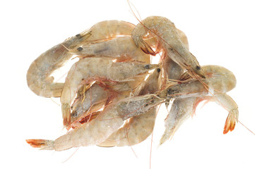Frozen Prawns Isolated On White Background