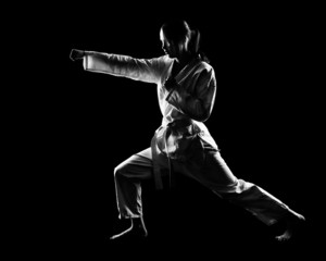 karate girl © Serg Zastavkin