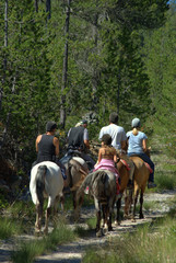 Randonnée à cheval
