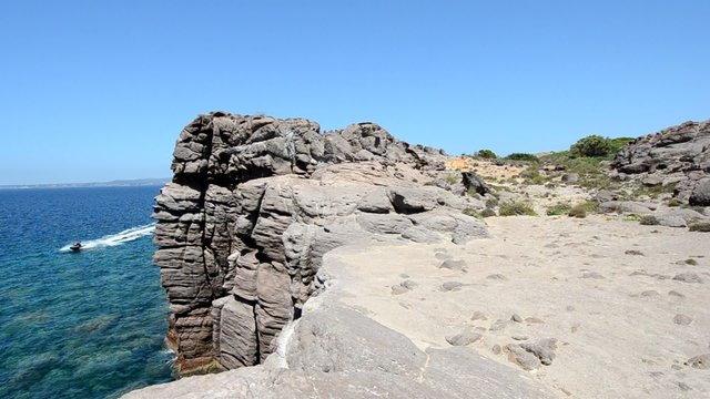 mare
