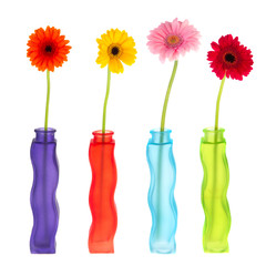 Colorful modern vases with flowers