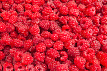 Rasberry background from many ripe berries close up, shallow dee - 34962596