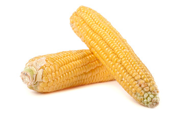 Corn