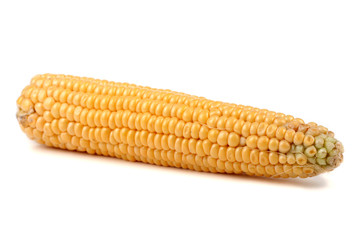 Corn