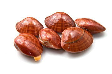 fasolari