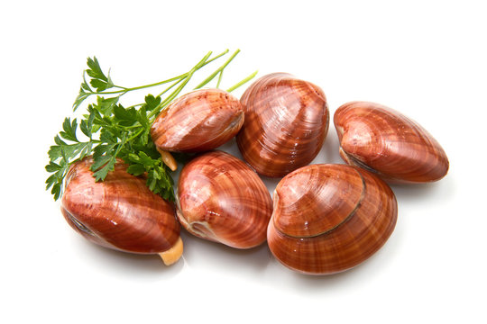 fasolari