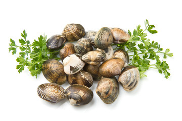 vongole veraci