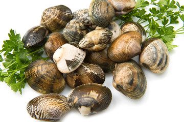 vongole veraci