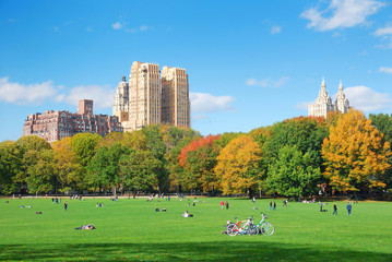 New York City Central Park with cloud and blue sky