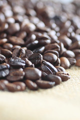 コーヒー豆