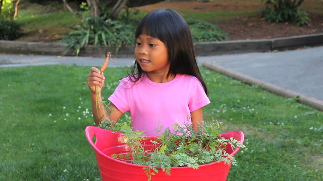 Girl Enjoys Eating Homegrown Carrot