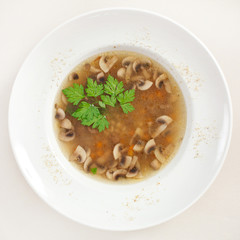 mushroom soup