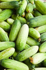 Pile of cucumber in fresh market , asian style vegetable , close