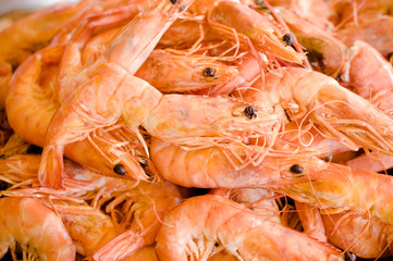 Pile of fresh lobsters