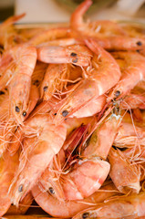 Pile of fresh lobsters