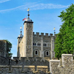 Fototapeta na wymiar Tower of London, in London, United Kingdom