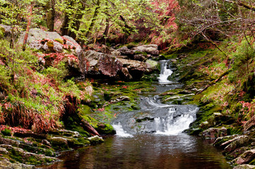 A river scene from Ardennes region hiking paths in Belgium