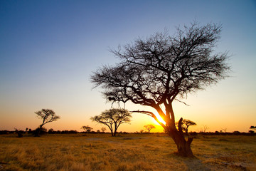 Fototapeta na wymiar african sunset