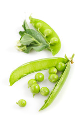 Pea isolated