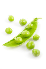 Pea isolated