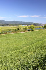 青空と草原