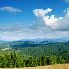 Fototapeta na wymiar Piękny zielony krajobraz górski w Karpatach