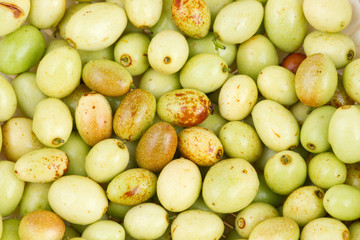 Fresh jujubes