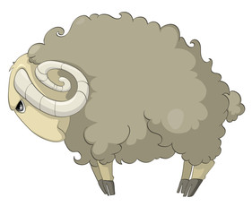 Cartoon Character Sheep