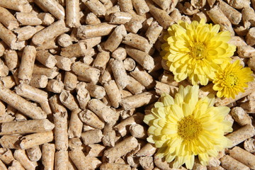 Gelbe Blüten in holzpellets