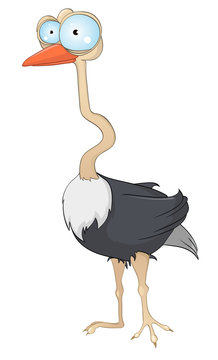 Cartoon Character Ostrich